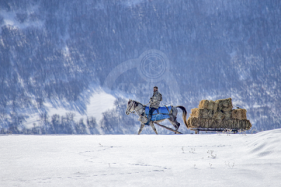 13. TARIM ORMAN VE İNSAN FOTOĞRAF YARIŞMASI - Ebubekir BÜRÇÜN