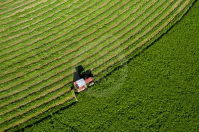 13. TARIM ORMAN VE İNSAN FOTOĞRAF YARIŞMASI - Ekrem ŞAHİN