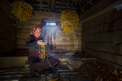 13. TARIM ORMAN VE İNSAN FOTOĞRAF YARIŞMASI - Elmas CUMCU