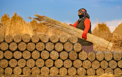 13. TARIM ORMAN VE İNSAN FOTOĞRAF YARIŞMASI - Emrullah AKGÜN