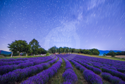13. TARIM ORMAN VE İNSAN FOTOĞRAF YARIŞMASI - Erhan BAYCAN