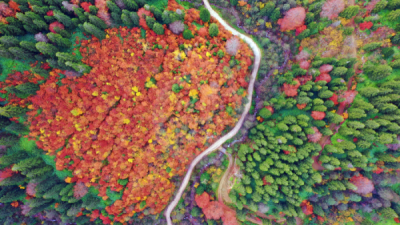 13. TARIM ORMAN VE İNSAN FOTOĞRAF YARIŞMASI - Hakan Burak ALTUNÖZ