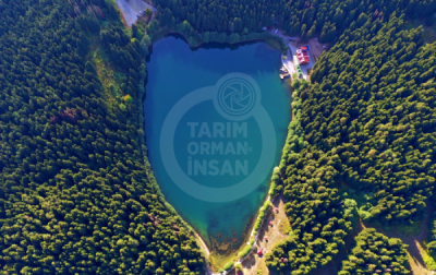 13. TARIM ORMAN VE İNSAN FOTOĞRAF YARIŞMASI - Hakan Burak ALTUNÖZ