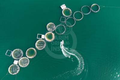 13. TARIM ORMAN VE İNSAN FOTOĞRAF YARIŞMASI - Hakan ÇÖPLÜ