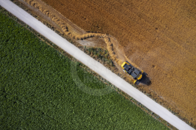 13. TARIM ORMAN VE İNSAN FOTOĞRAF YARIŞMASI - Hanifi KOÇ