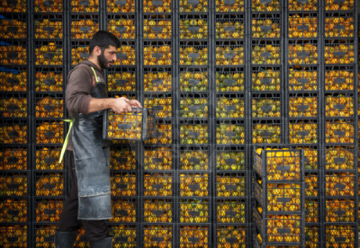 13. TARIM ORMAN VE İNSAN FOTOĞRAF YARIŞMASI - Hüseyin KAYIKÇI