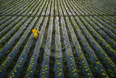 13. TARIM ORMAN VE İNSAN FOTOĞRAF YARIŞMASI - İsa CIDA