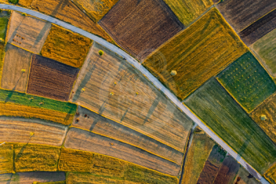 13. TARIM ORMAN VE İNSAN FOTOĞRAF YARIŞMASI - İsmail Serhat ŞAHİN