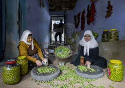 13. TARIM ORMAN VE İNSAN FOTOĞRAF YARIŞMASI - Levent ATEŞ