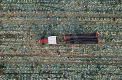 13. TARIM ORMAN VE İNSAN FOTOĞRAF YARIŞMASI - Mehmet ULUYURT