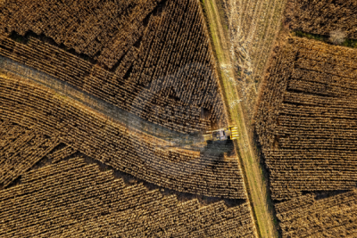 13. TARIM ORMAN VE İNSAN FOTOĞRAF YARIŞMASI - Murat İBRANOĞLU