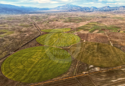 13. TARIM ORMAN VE İNSAN FOTOĞRAF YARIŞMASI - Murat YILMAZOVA