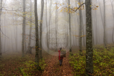13. TARIM ORMAN VE İNSAN FOTOĞRAF YARIŞMASI - Mustafa CEBECİOĞLU