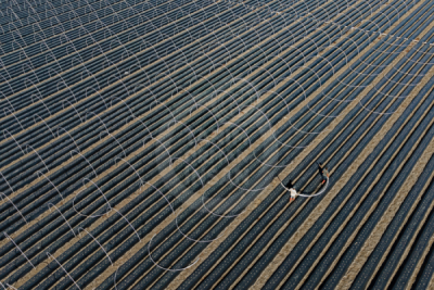 13. TARIM ORMAN VE İNSAN FOTOĞRAF YARIŞMASI - Oğuz İPÇİ