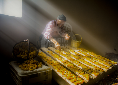 13. TARIM ORMAN VE İNSAN FOTOĞRAF YARIŞMASI - Orhan KARTAL