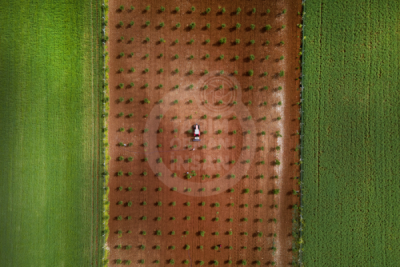 13. TARIM ORMAN VE İNSAN FOTOĞRAF YARIŞMASI - Ragıp SARI