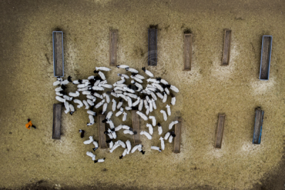 13. TARIM ORMAN VE İNSAN FOTOĞRAF YARIŞMASI - Ragıp SARI