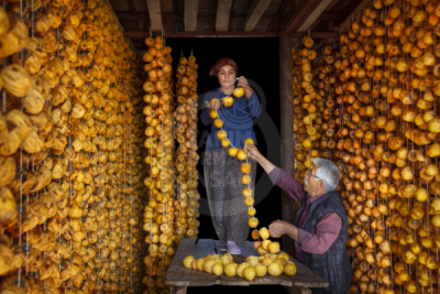 13. TARIM ORMAN VE İNSAN FOTOĞRAF YARIŞMASI - Songül GEYİK