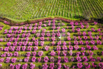 13. TARIM ORMAN VE İNSAN FOTOĞRAF YARIŞMASI - Şevki KARACA