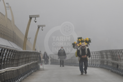 13. TARIM ORMAN VE İNSAN FOTOĞRAF YARIŞMASI - Uğur ÇİMEN