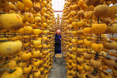 13. TARIM ORMAN VE İNSAN FOTOĞRAF YARIŞMASI - Ümmü KANDİLCİOĞLU