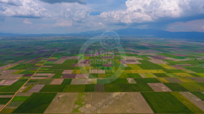13. TARIM ORMAN VE İNSAN FOTOĞRAF YARIŞMASI - VELİ KARIŞAN