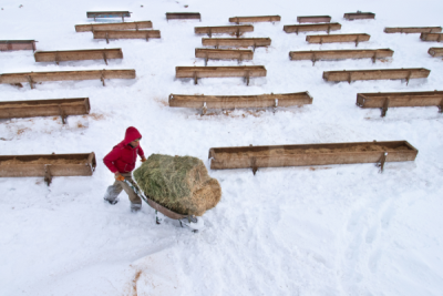 13. TARIM ORMAN VE İNSAN FOTOĞRAF YARIŞMASI - Yakup SAYAK
