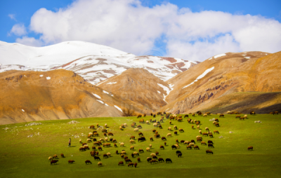 13. TARIM ORMAN VE İNSAN FOTOĞRAF YARIŞMASI - Bilal KALA