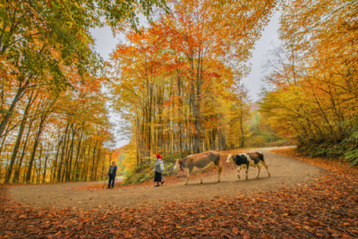 13. TARIM ORMAN VE İNSAN FOTOĞRAF YARIŞMASI - Filiz UZUNİSMAİL