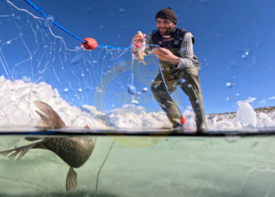 14. TARIM ORMAN VE İNSAN FOTOĞRAF YARIŞMASI - Özgen BEŞLİ
