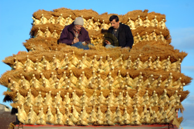 14. TARIM ORMAN VE İNSAN FOTOĞRAF YARIŞMASI - Nevzat YILDIRIM