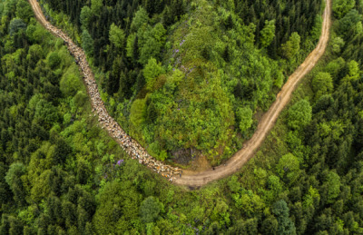 14. TARIM ORMAN VE İNSAN FOTOĞRAF YARIŞMASI - Filiz UZUNİSMAİL
