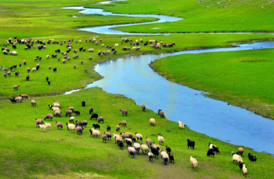 14. TARIM ORMAN VE İNSAN FOTOĞRAF YARIŞMASI - HALUK SARGIN