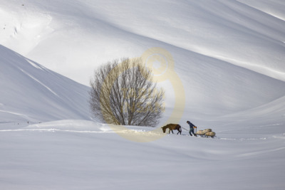 14. TARIM ORMAN VE İNSAN FOTOĞRAF YARIŞMASI - Ebubekir BÜRÇÜN