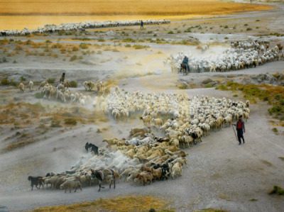 14. TARIM ORMAN VE İNSAN FOTOĞRAF YARIŞMASI - Ekrem ŞAHİN