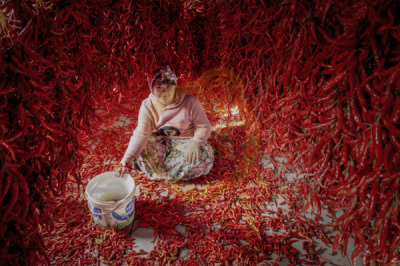 14. TARIM ORMAN VE İNSAN FOTOĞRAF YARIŞMASI - Güzin GÜLFİDAN