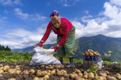 14. TARIM ORMAN VE İNSAN FOTOĞRAF YARIŞMASI - Metin ÖZTÜRK