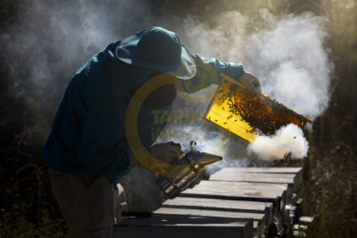 14. TARIM ORMAN VE İNSAN FOTOĞRAF YARIŞMASI - Caner BAŞER