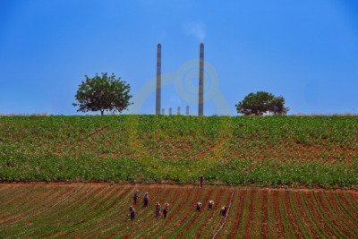 14. TARIM ORMAN VE İNSAN FOTOĞRAF YARIŞMASI - Erol ÖZDEMİR