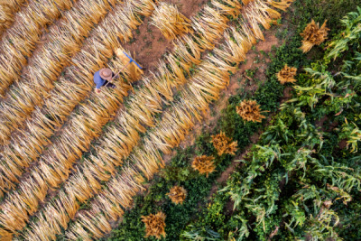 14. TARIM ORMAN VE İNSAN FOTOĞRAF YARIŞMASI - Esengül ALICI