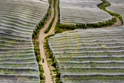 14. TARIM ORMAN VE İNSAN FOTOĞRAF YARIŞMASI - Gülbeyaz GENCER