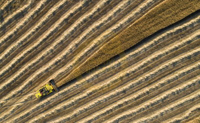 14. TARIM ORMAN VE İNSAN FOTOĞRAF YARIŞMASI - Hakan GÜMÜŞ