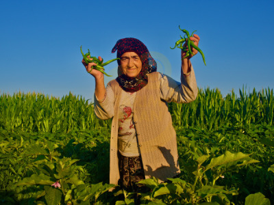 14. TARIM ORMAN VE İNSAN FOTOĞRAF YARIŞMASI - HALUK SARGIN