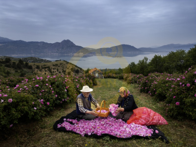 14. TARIM ORMAN VE İNSAN FOTOĞRAF YARIŞMASI - Hilal EMNACAR