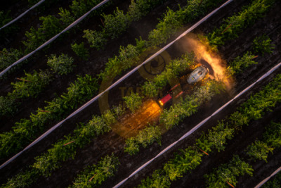 14. TARIM ORMAN VE İNSAN FOTOĞRAF YARIŞMASI - İsmail Serhat ŞAHİN