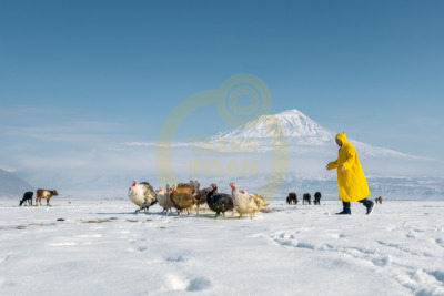 14. TARIM ORMAN VE İNSAN FOTOĞRAF YARIŞMASI - Kenan TALAS