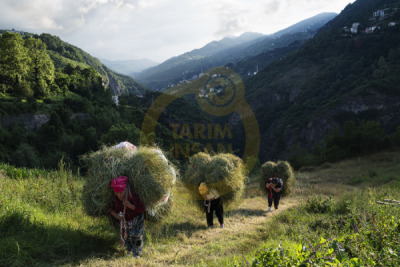 14. TARIM ORMAN VE İNSAN FOTOĞRAF YARIŞMASI - Meral YEŞİLÇİÇEK