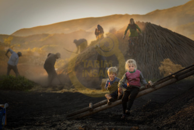 14. TARIM ORMAN VE İNSAN FOTOĞRAF YARIŞMASI - Murat BAKMAZ