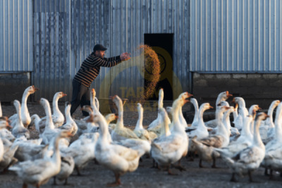 14. TARIM ORMAN VE İNSAN FOTOĞRAF YARIŞMASI - Murat BAKMAZ