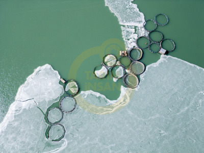 14. TARIM ORMAN VE İNSAN FOTOĞRAF YARIŞMASI - Nuriye ULUSOY